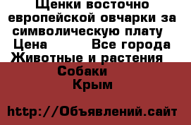 Щенки восточно европейской овчарки за символическую плату › Цена ­ 250 - Все города Животные и растения » Собаки   . Крым